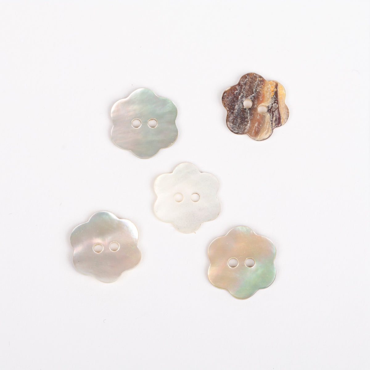Tilgad perlamutri nupp 15mm (valged lillekes)