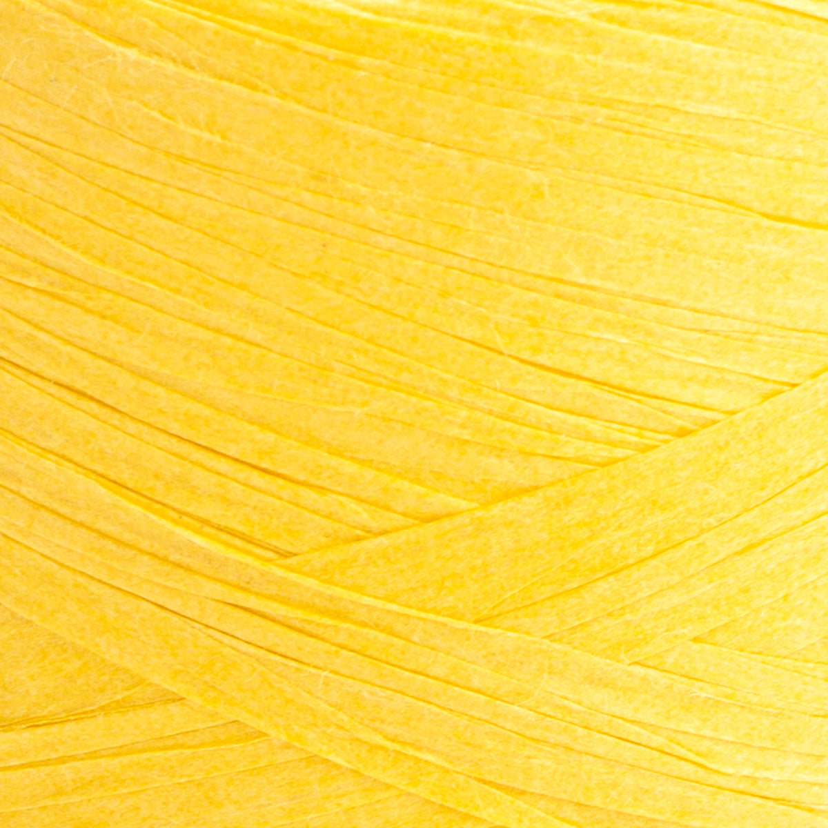 YarnArt Papiro 100g (raffia)