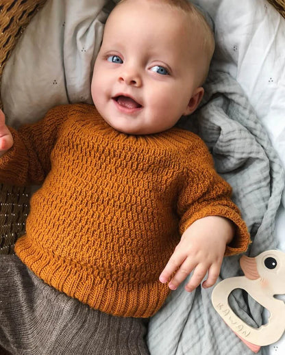 PetiteKnit Alfred's Sweater Baby - Schema